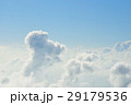 空にいたプードル 29179536