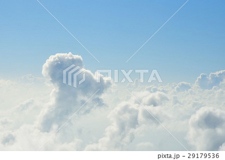 空にいたプードル 29179536