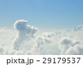 空にいたプードル 29179537