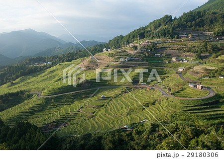 熊野市・丸山千枚田 29180306