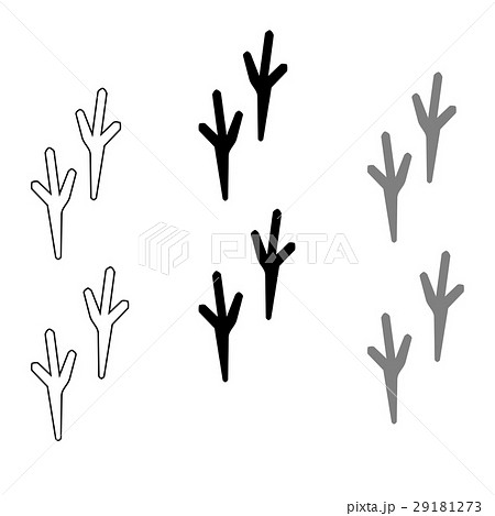 Hen footprint on the white background. Hen footprint on the white background. 29181273