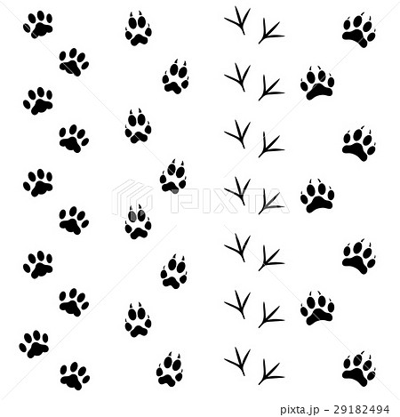 Black Animal Tracks Set Vectorのイラスト素材
