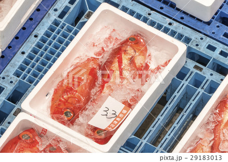 魚市場　キンメダイ 29183013