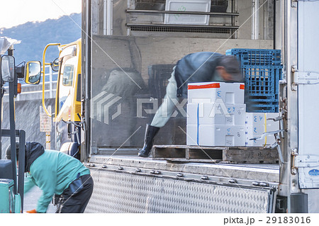 魚市場 魚市場 29183016