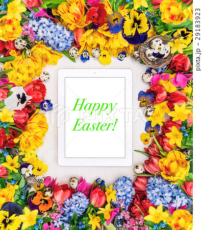 Easter background spring flowers eggs Easter background spring flowers eggs 29183923