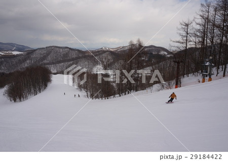 さっぽろばんけいスキー場 さっぽろばんけいスキー場 29184422
