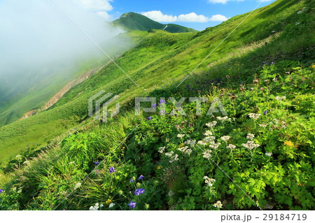 飯豊連峰・北股岳と高山植物 29184719