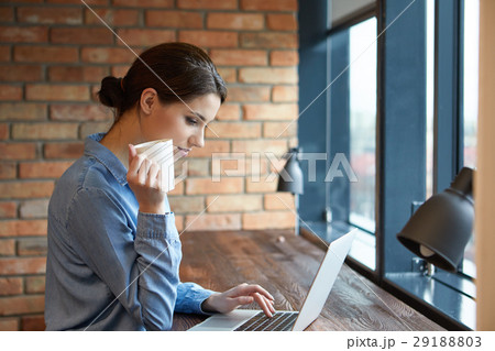 Beautiful brunette using laptop in cafe. Blogger work concept Beautiful brunette using laptop in cafe. Blogger work concept 29188803