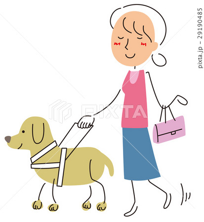 盲導犬 29190485