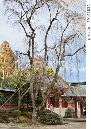 塩竈神社 29191830