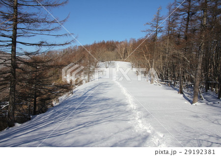 足跡を振り替える 足跡を振り替える 29192381