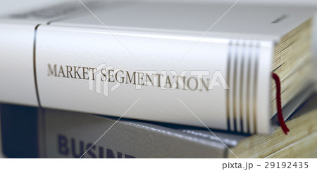 Book Title of Market Segmentation. 3d. 29192435