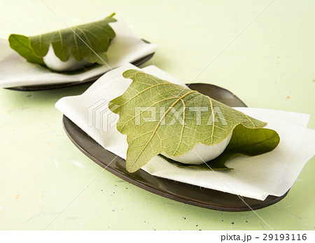 柏餅 端午の節句 和菓子 甘味 柏餅 端午の節句 和菓子 甘味 29193116