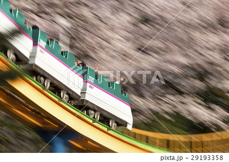桜とジェットコースター 29193358