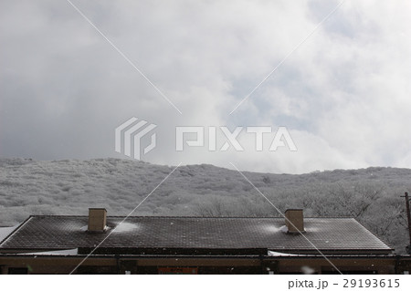 牧ノ戸峠の樹氷 29193615