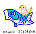 こいのぼりに乗る猫 29193649