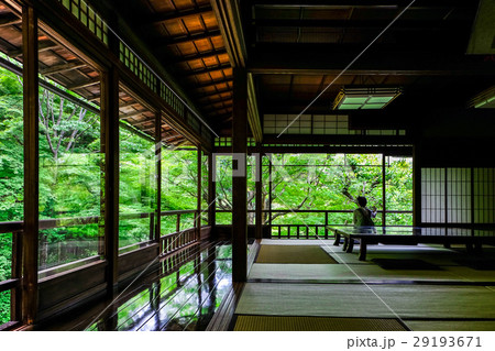 春の京都 瑠璃光院 春の京都 瑠璃光院 29193671