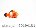 clownfish anemone fish toy on white 29194131