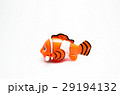 clownfish anemone fish toy on white 29194132