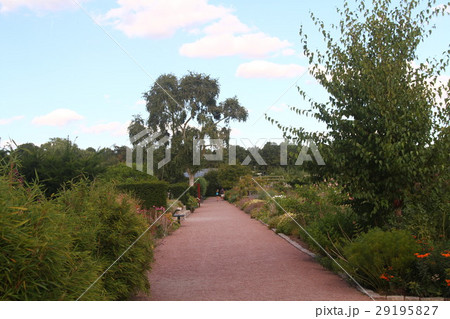 北欧のガーデン 29195827