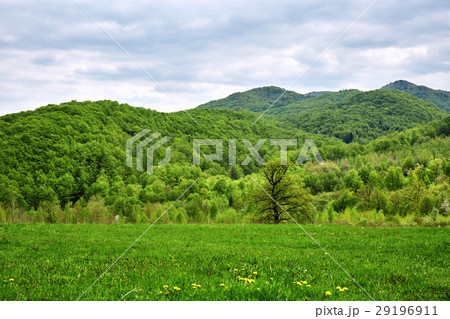 Beautiful valley with mountains in the background Beautiful valley with mountains in the background 29196911