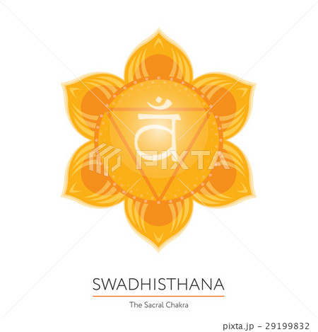 Swadhisthana. Chakra vector illustration. 29199832