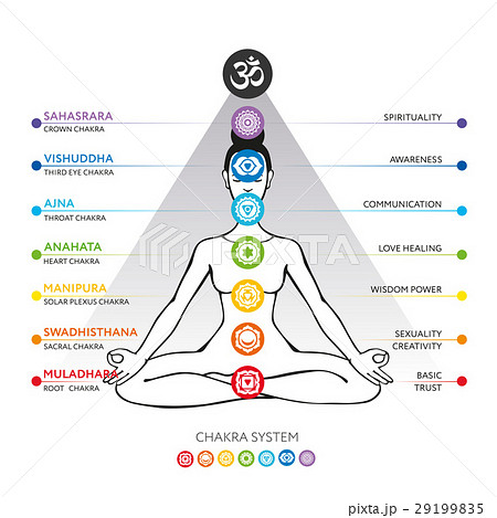 Chakra system, asana padmasana Chakra system, asana padmasana 29199835