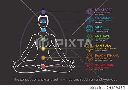 Chakra system, asana padmasana Chakra system, asana padmasana 29199836