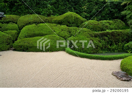 頼久寺庭園 29200195