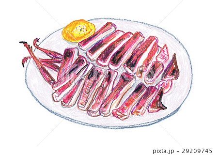 あぶったイカ 29209745