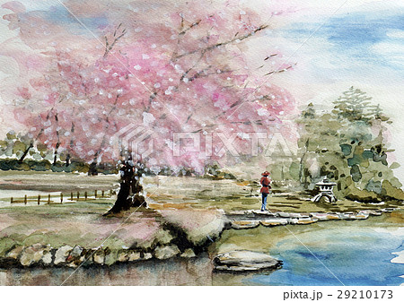 桜　公園の桜　兼六園 29210173
