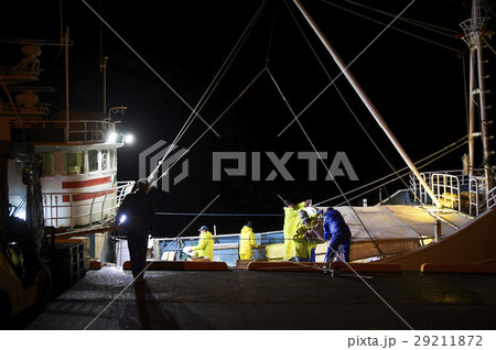 賀露港 カニ漁 漁船 賀露港 カニ漁 漁船 29211872