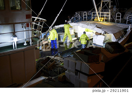 賀露港 カニ漁 漁船の写真素材