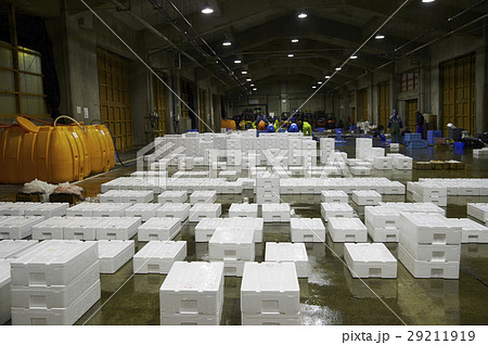 卸売市場　出荷作業　水産　カニ 29211919