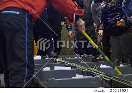 卸売市場　競り　水産 29211925