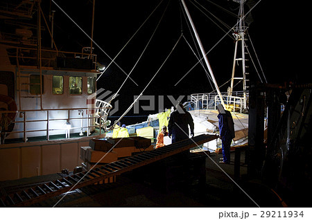 賀露港 カニ漁 漁船 賀露港 カニ漁 漁船 29211934