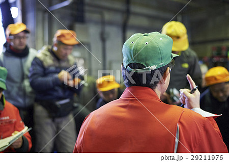 卸売市場　競り　水産 29211976