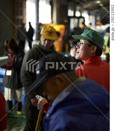卸売市場 競り 水産 卸売市場 競り 水産 29212002
