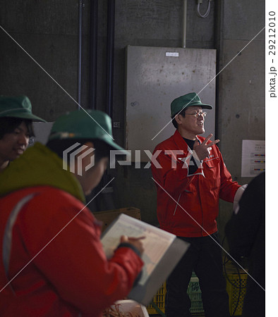 卸売市場　競り　水産 29212010