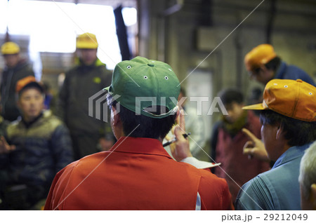 卸売市場　競り　水産 29212049