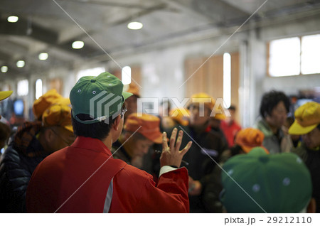 卸売市場 競り 水産 卸売市場 競り 水産 29212110