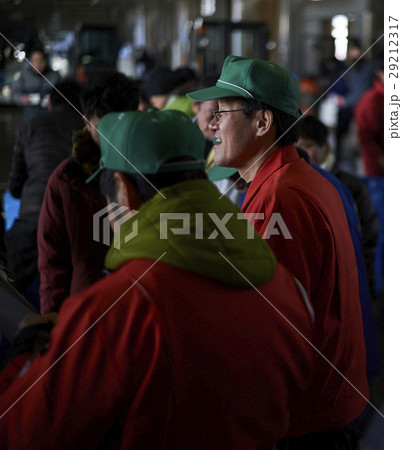 卸売市場 競り 水産 卸売市場 競り 水産 29212317