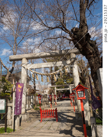 鴻神社　埼玉県鴻巣市 29215337