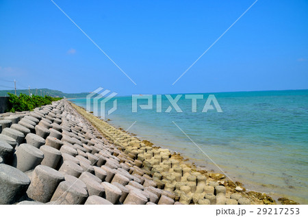 沖縄の海岸線 沖縄の海岸線 29217253