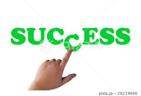 Business Success Concept Business Success Concept 29219666