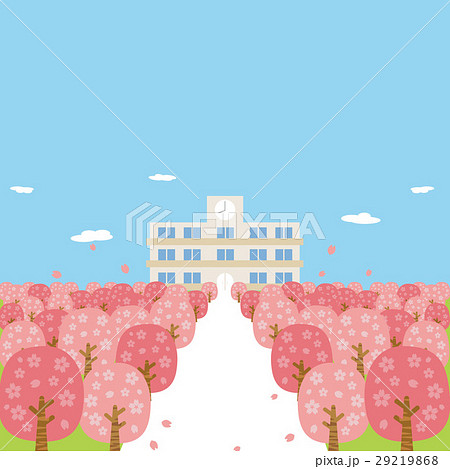 春　桜　桜並木　満開　学校 29219868