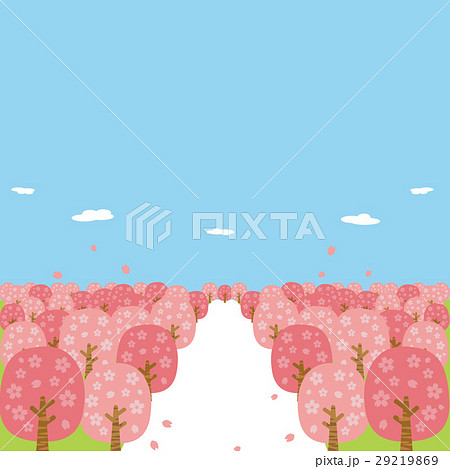 春 桜 桜並木 満開のイラスト素材