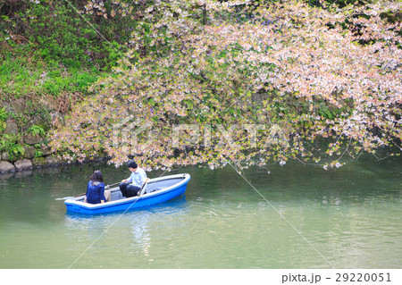 Chidorigafuchi park during the spring season. Chidorigafuchi park during the spring season. 29220051