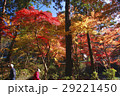 紅葉 29221450