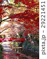 紅葉 29221451